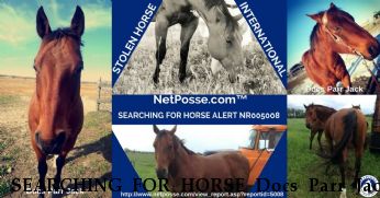 SEARCHING FOR HORSE Docs Parr Jack Near Newell, SD, 57760